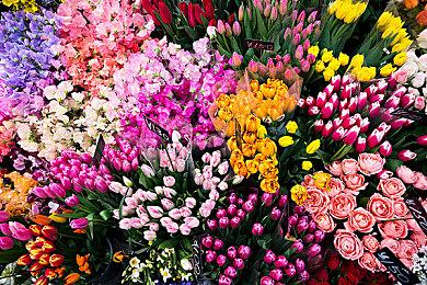 KK对战平台首届“吐槽大会”完美谢幕，“暴打”策划，整蛊作者笑爆全场！